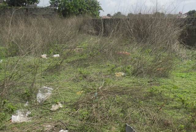 Gudja - 1 tumolo Of land for development