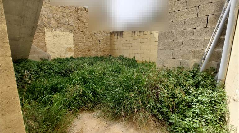 Zebbug - Unconverted Townhouse + Garden 
