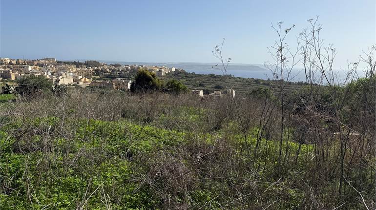 Nadur Gozo - Agricultural Land with sea views 