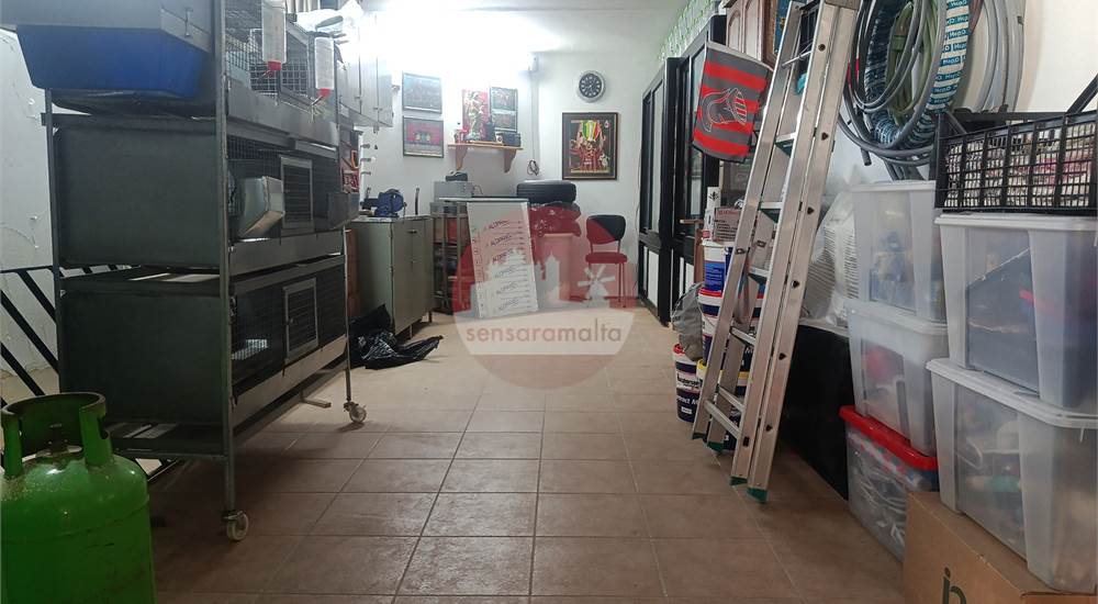 Photo 15